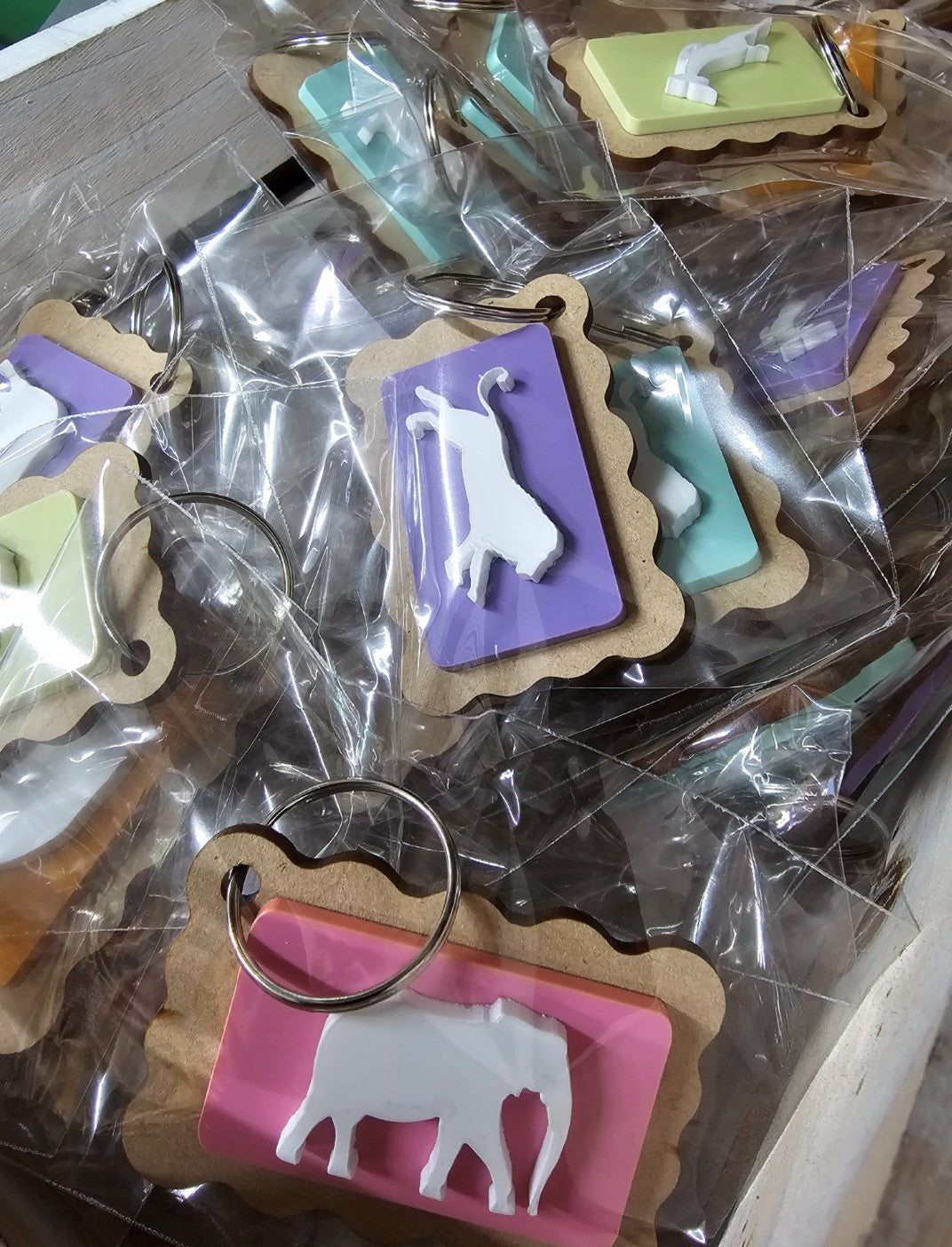 Zoo Cookies Keyring