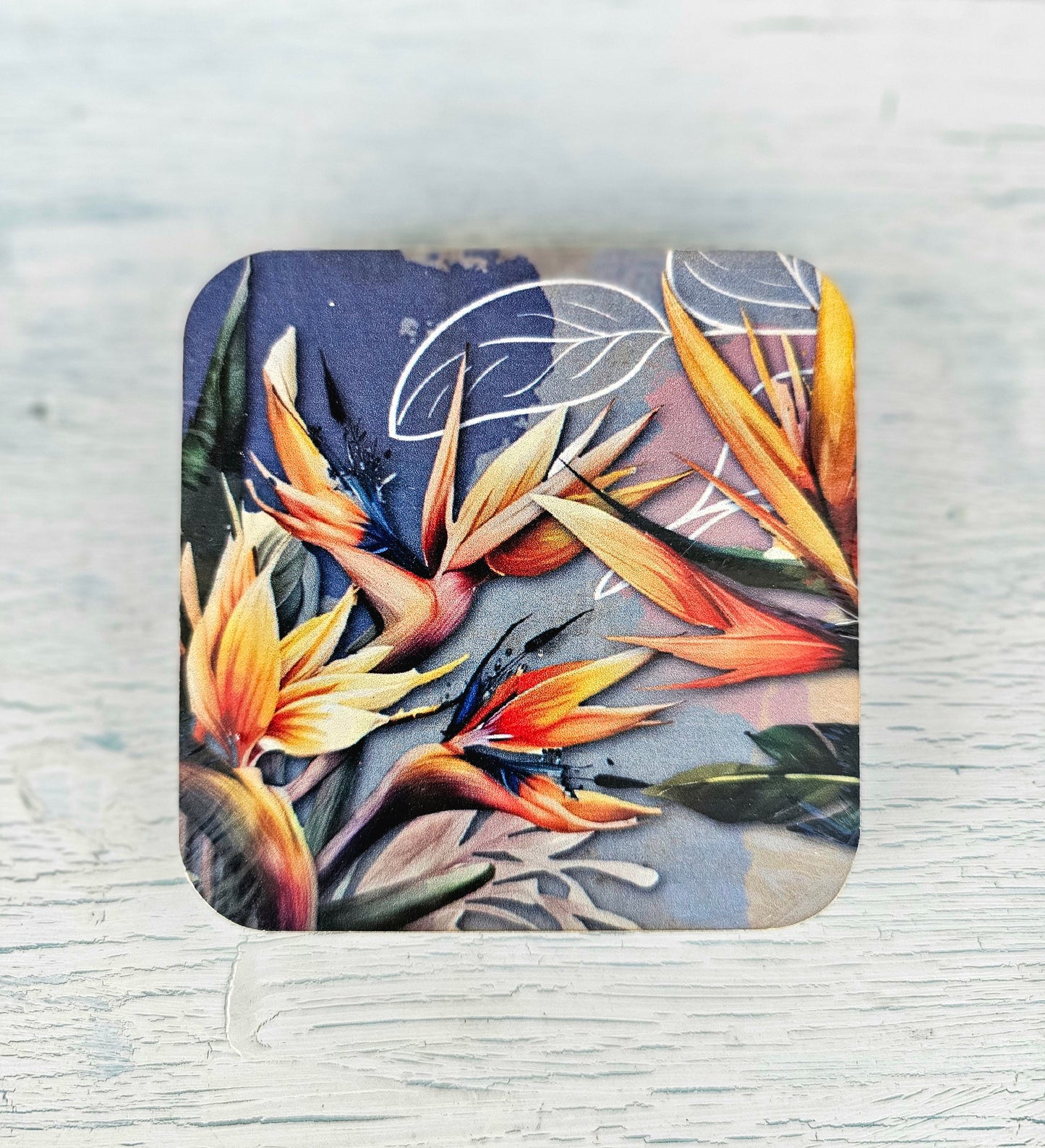 Coasters set of 4 - Sterlitzia