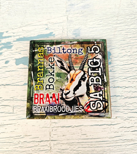 Sarcastic magnet - SA big 5