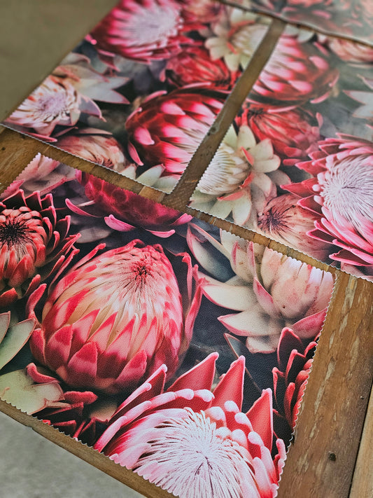 Placemats ×4 - Vinyl/canvas