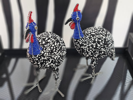 Beaded Guineafowl
