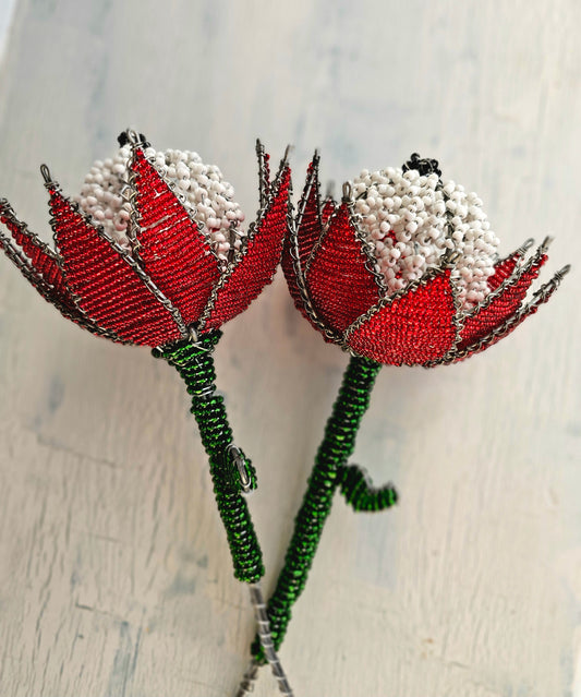 Beaded Proteas - Red