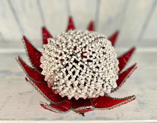Large Beaded Proteas - Table top