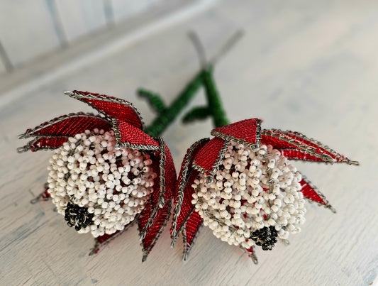 Beaded Proteas - Red